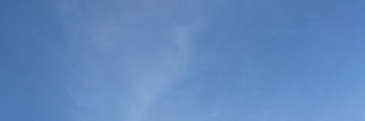 prinrabbit🐰's banner