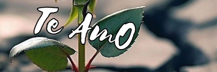 LuiS♥️💕🌹♥️💕🌹♥️💕🌹♥️💕🌹's banner