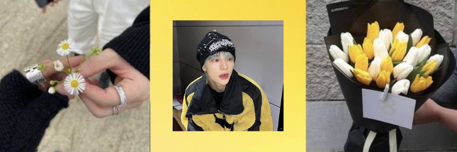 fae ཐི༏ཋྀ󠀮 saw skz!!! (semi-ia)'s banner