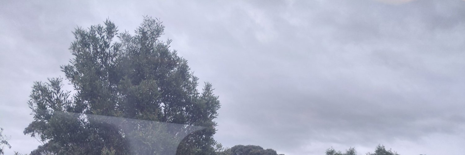Mister Y's banner