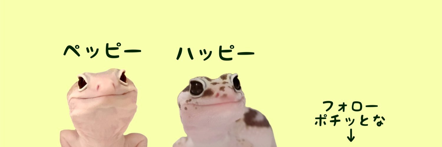おにゃん's banner