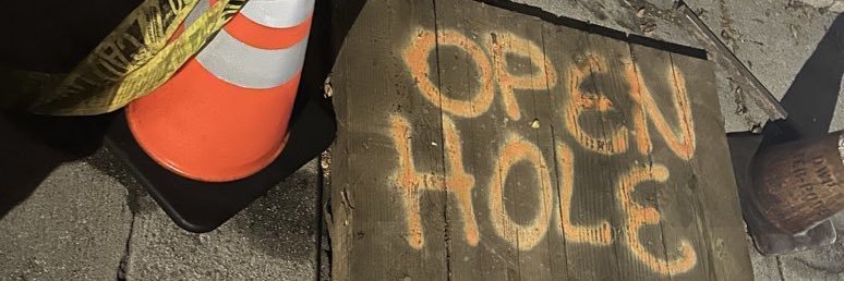 breedandgo (LA)'s banner