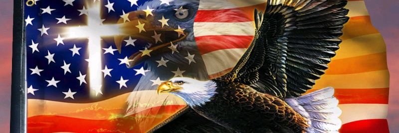🇺🇲 DO NOT COMPLY 🇺🇲's banner