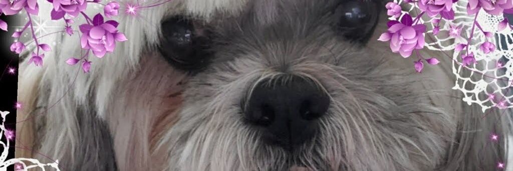 Chloe's mama's banner