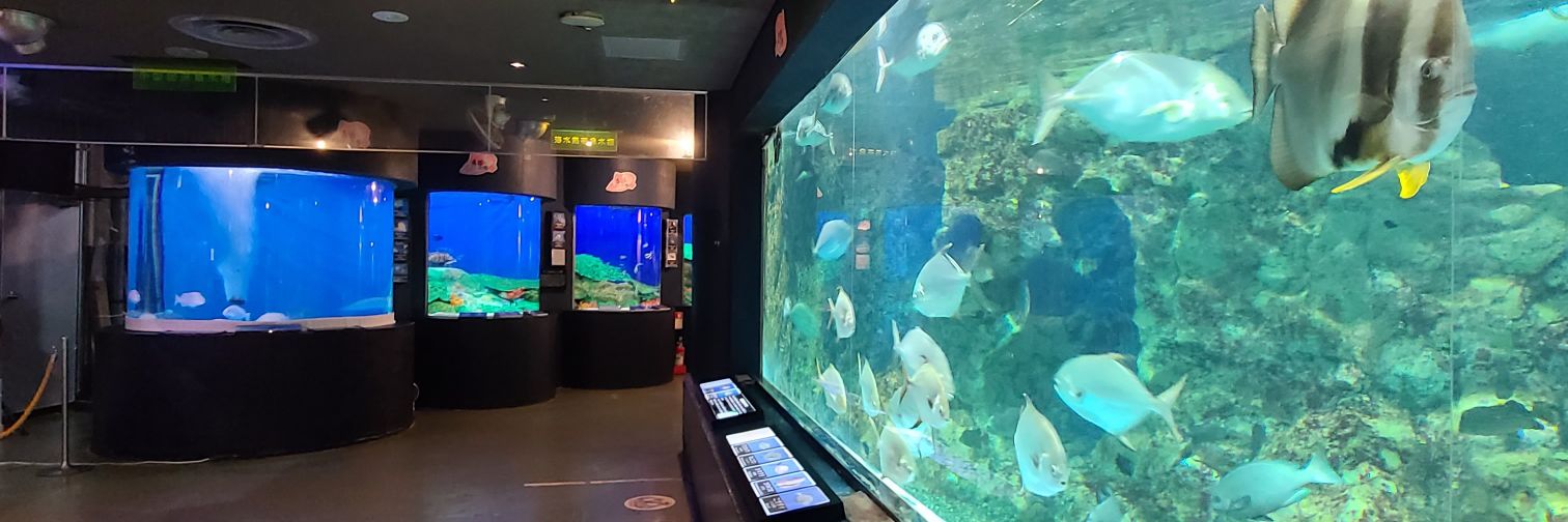 寺泊水族博物館【公式】's banner