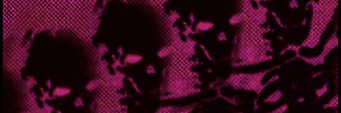 🎀 Emmi's banner