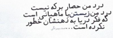 ماهی سیاه کوچولو's banner