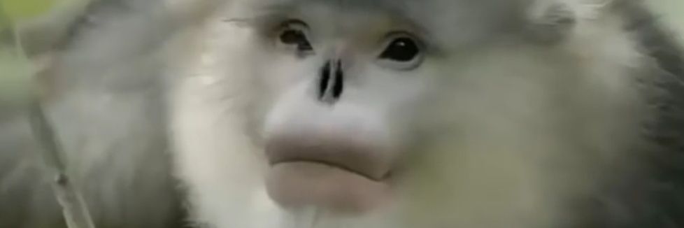 porn vids only's banner