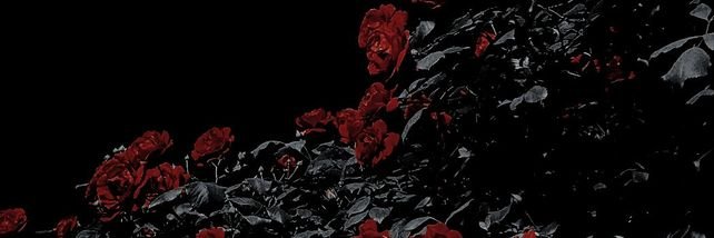 𝑵𝒆𝒓𝒐's banner