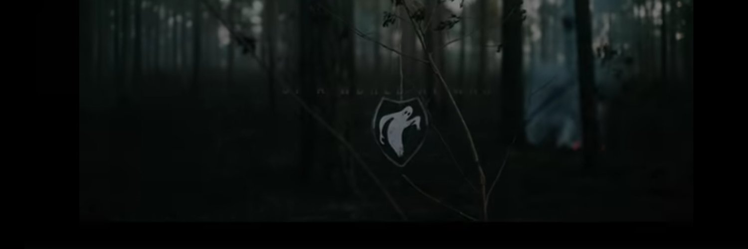 Ghost in the machine's banner