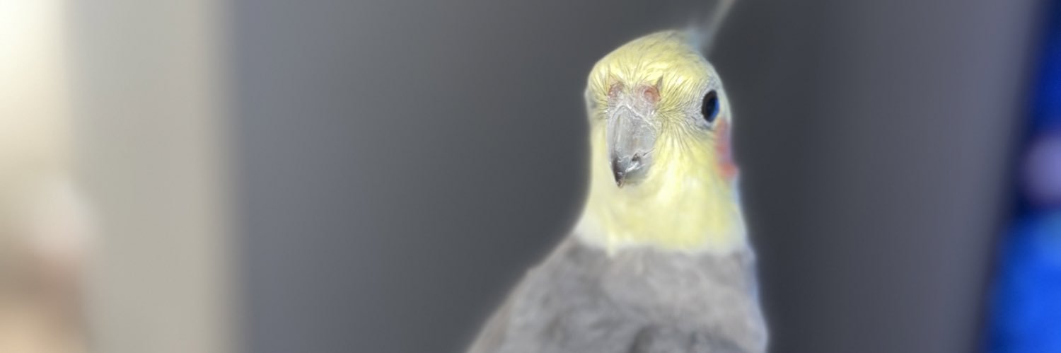 _annlxsrz's banner