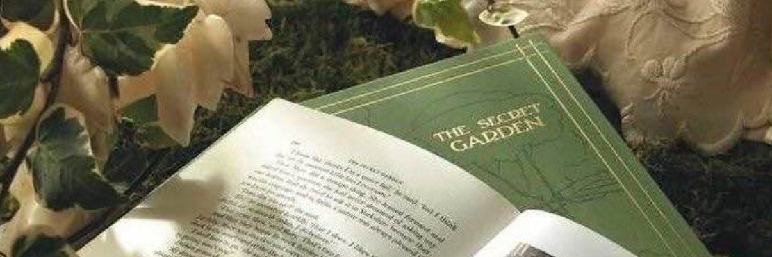 leila 📚🕊️'s banner