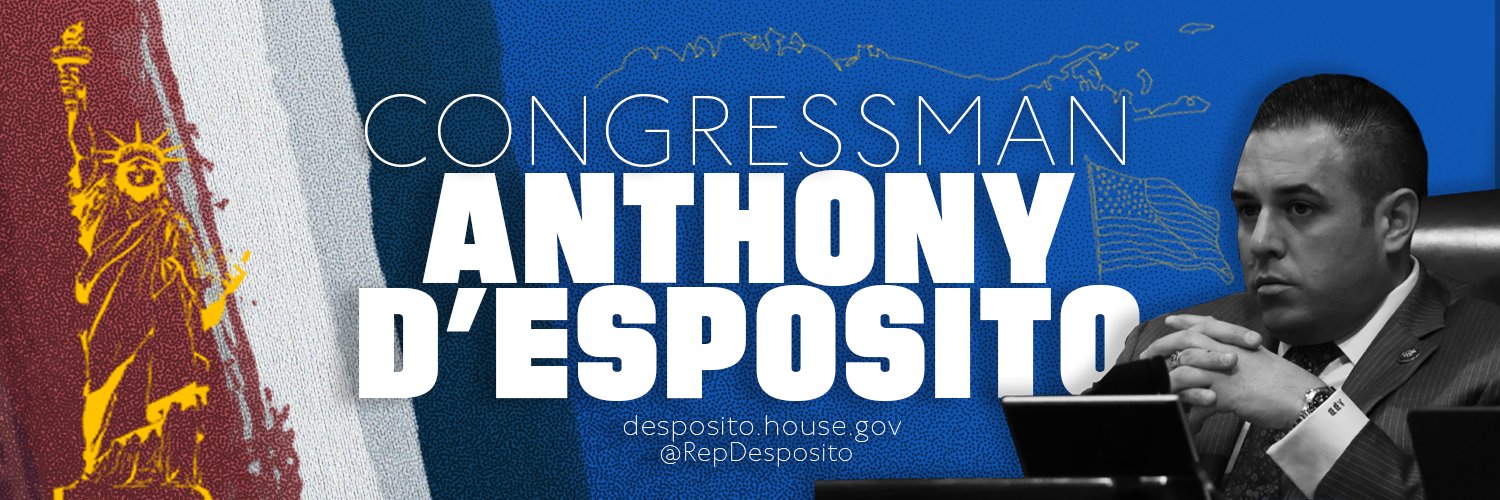 Rep. Anthony D’Esposito's banner