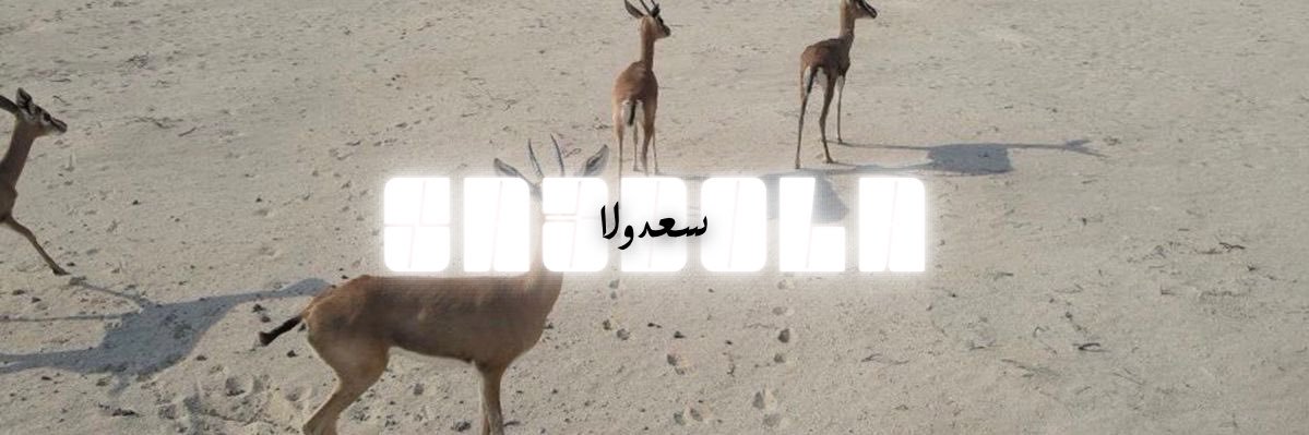 يوسف 's banner