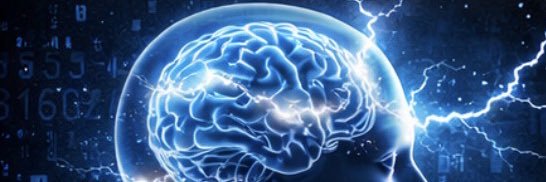 THE MIND BLOWN's banner