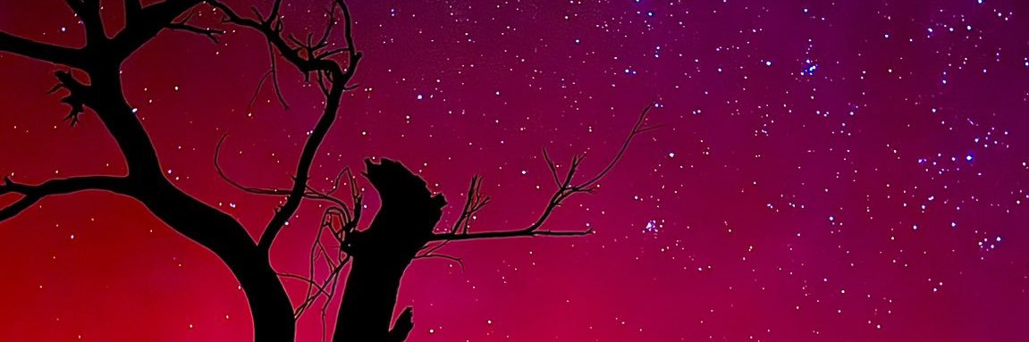 makima's banner