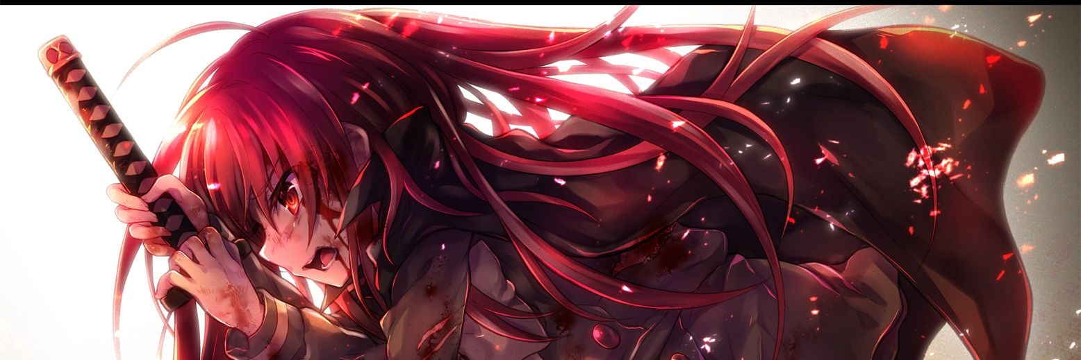 向月·法兰西斯·瓦利埃尔's banner