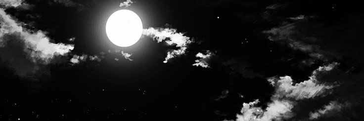 estel ₊ ⊹'s banner