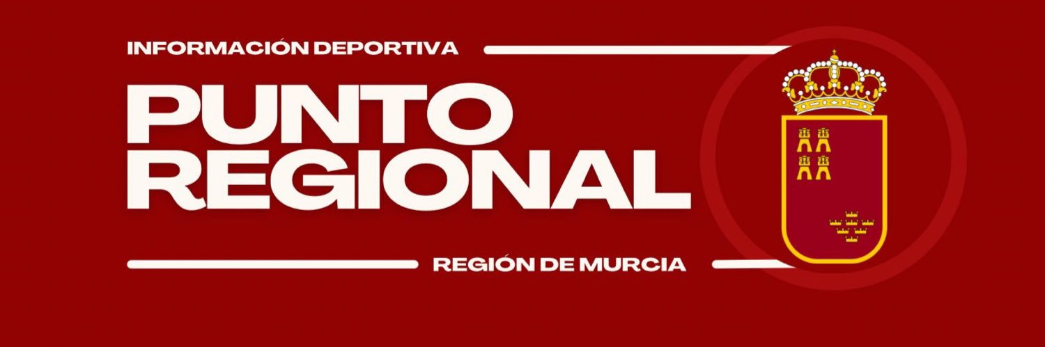 Punto Regional's banner