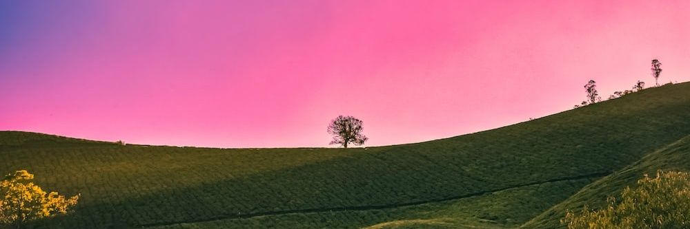LuckyGold🏅's banner