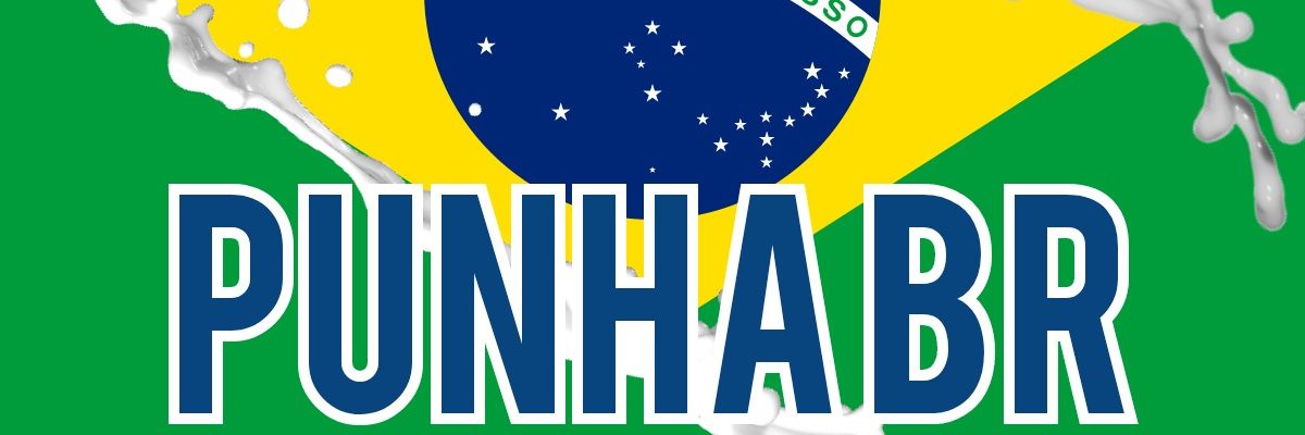 Punheteiro Brasil's banner