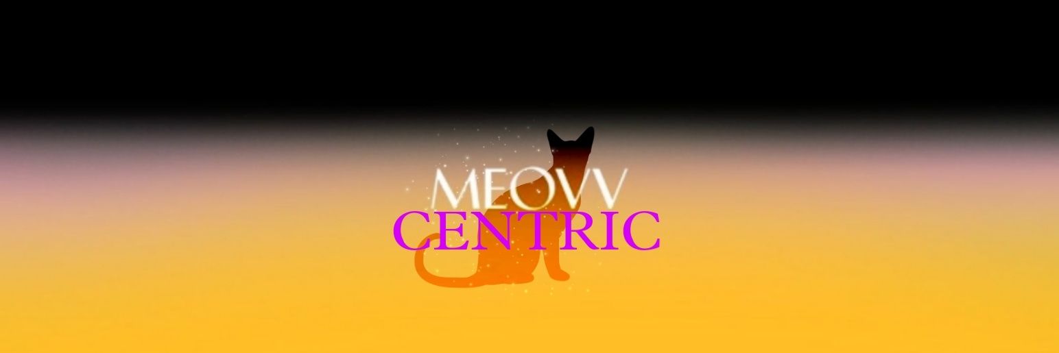 MEOVV CENTRIC's banner