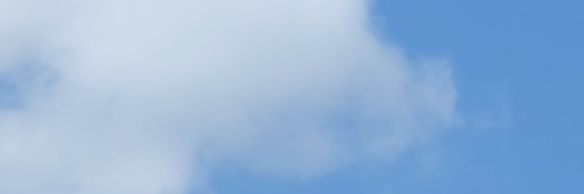 Ian Laffey's banner