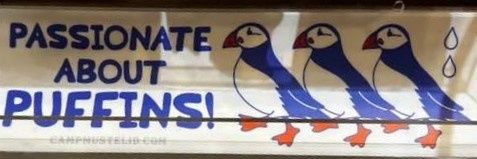 bright puffin's banner