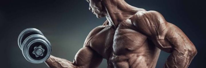 Muscular fitness's banner
