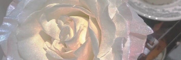 是鼠鼠's banner