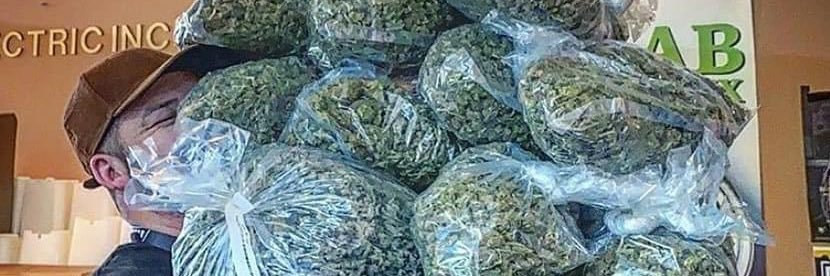 Stoners Heaven 🌿's banner