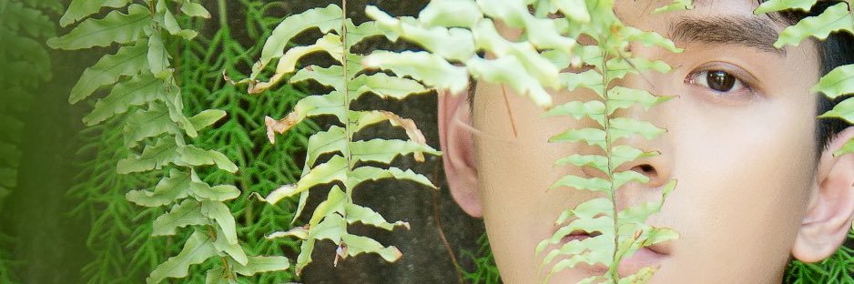 bluemen的多重宇宙's banner