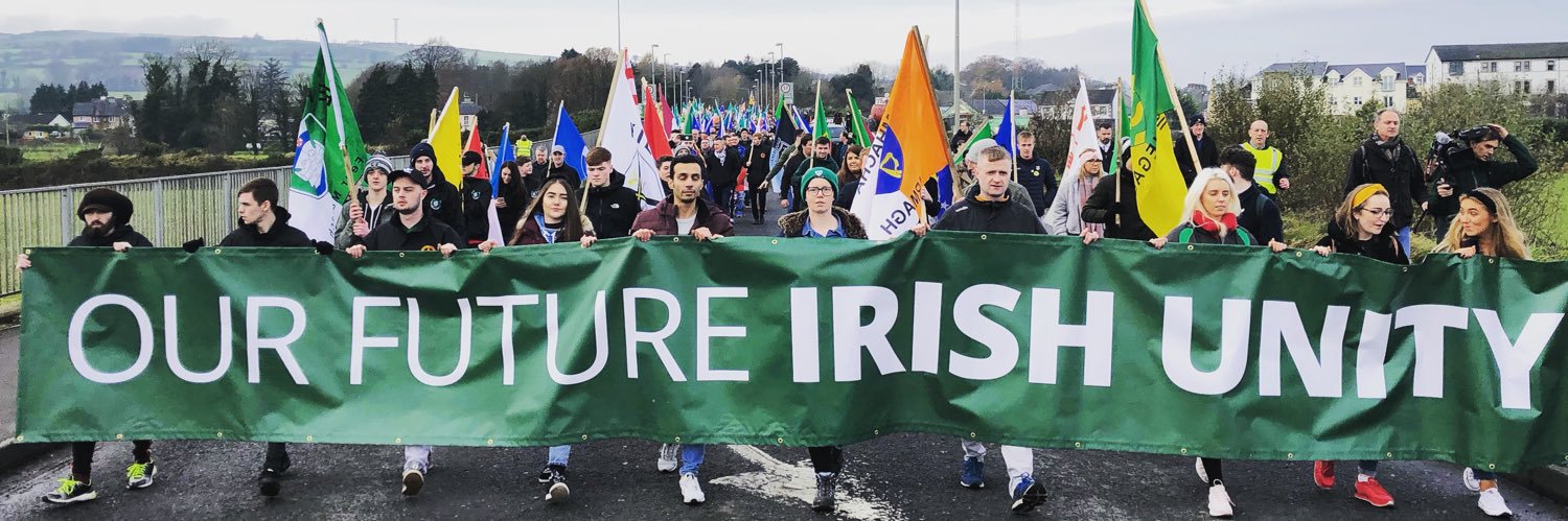 Irish Unity 🇮🇪🇵🇸's banner
