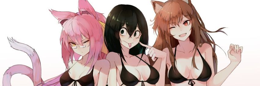 Fan de waifu's banner