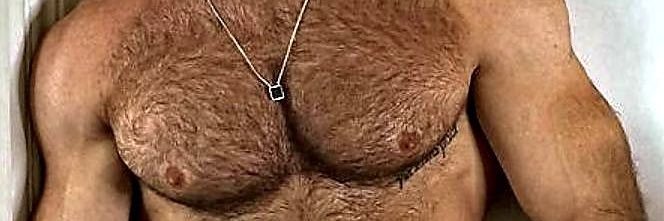 HairyChests1's banner