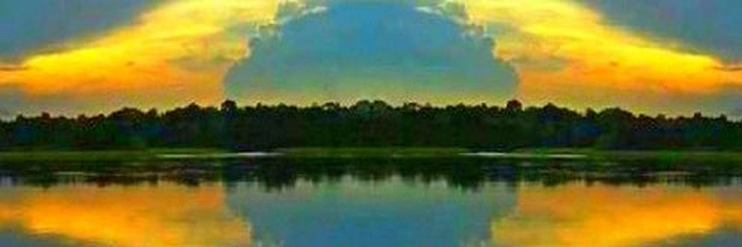 Gato Preto 75's banner