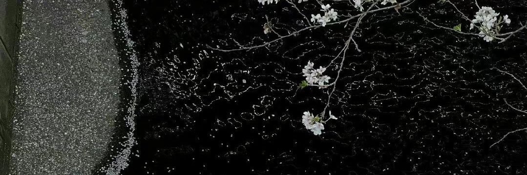 不渝's banner