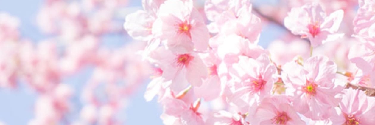 ほとだ ゆうな ＊市川を良くする人＊'s banner