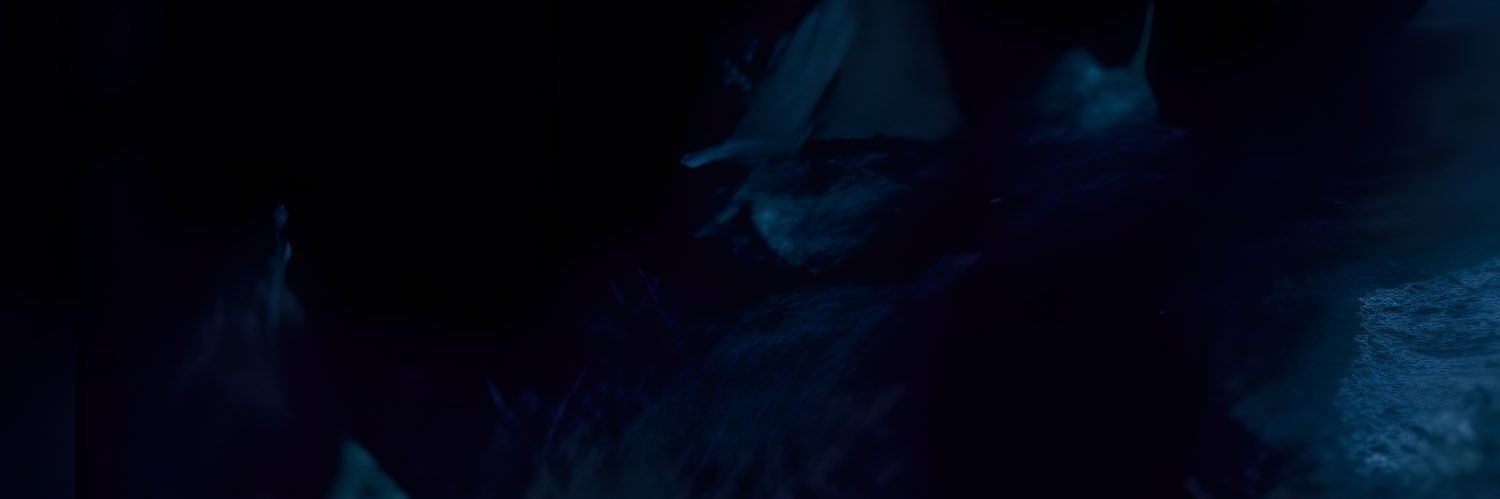 𝗥𝘂𝘂_琉's banner