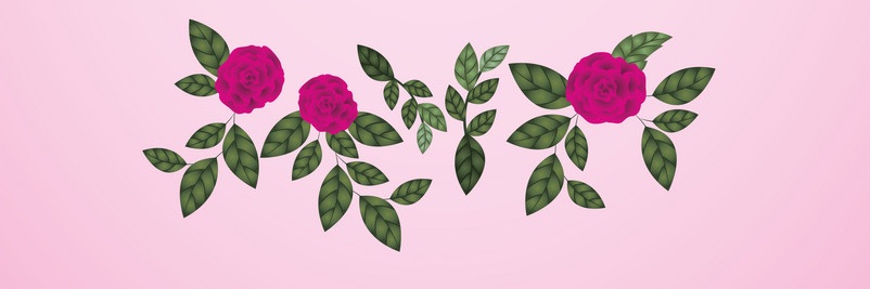 👑ChiquitaToes's banner