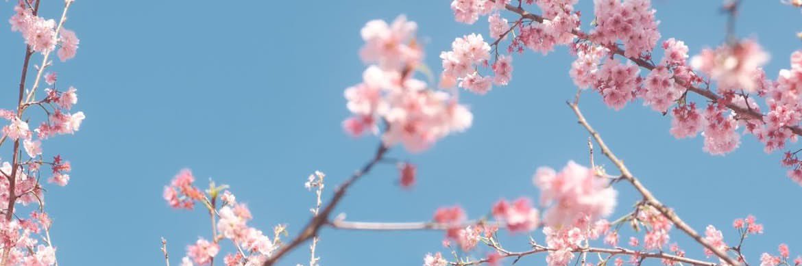 廢萌's banner