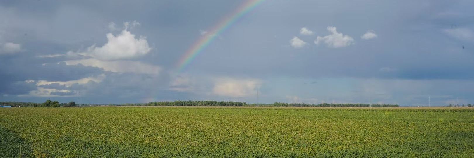 逍遥游（互关）'s banner