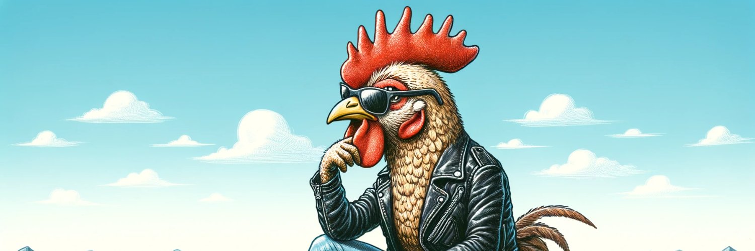 Out Of Context Rock Bird's banner