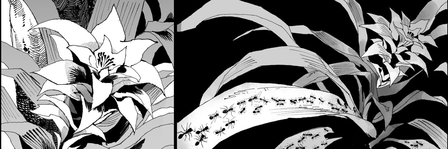 Manh Ho's banner