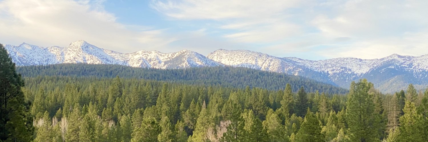 Sage of the Mountain's banner