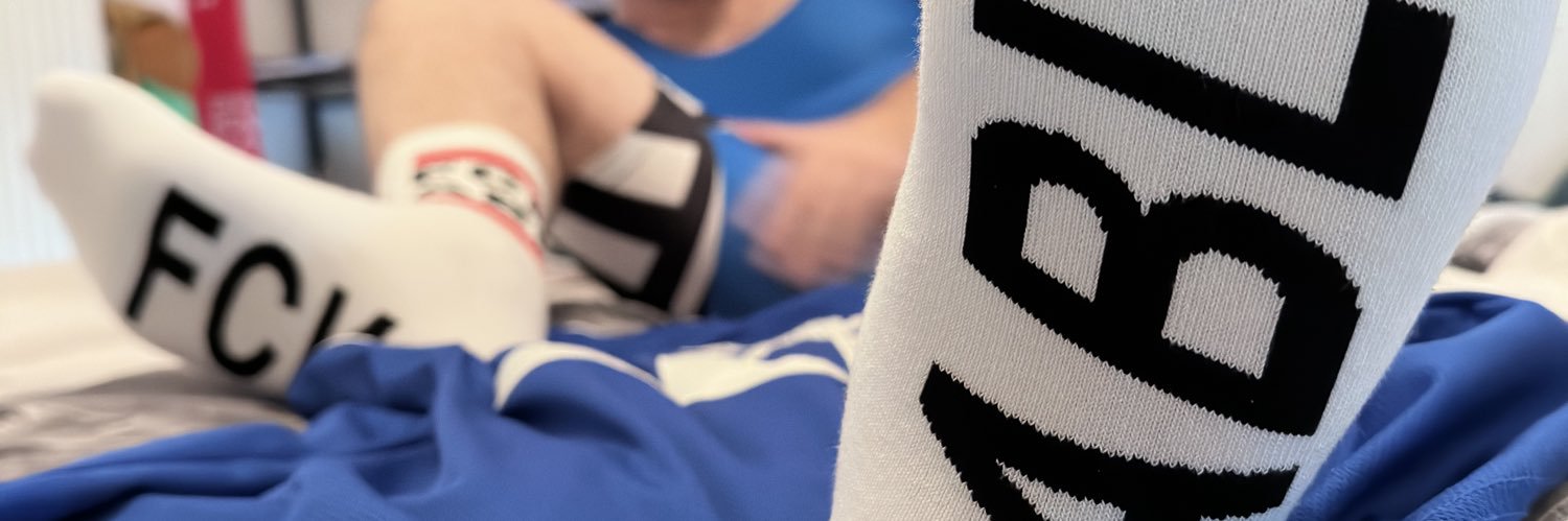 Vilhem 🐾's banner