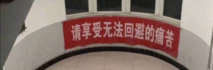 波比波比-'s banner