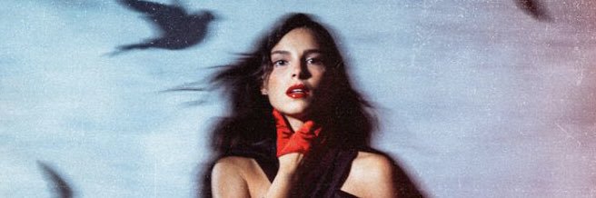 ⋆'s banner