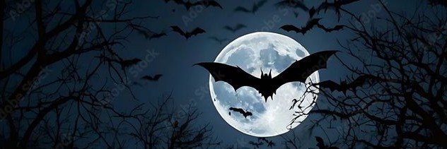 🦇 misses 5sos's banner