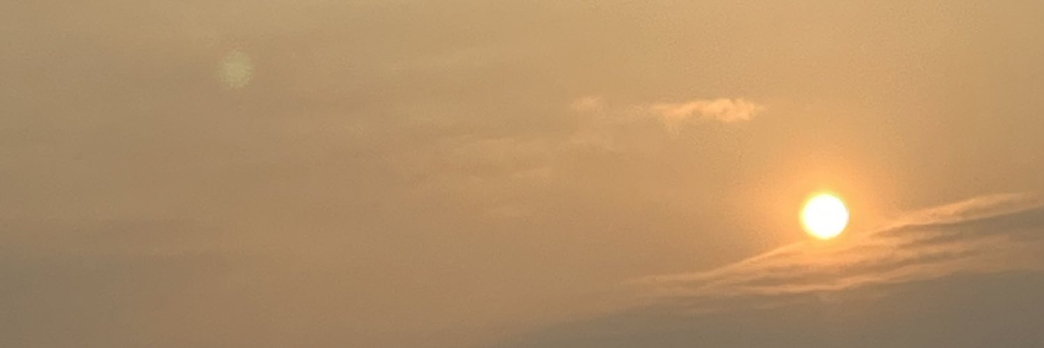念's banner